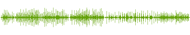  15 足音 落ち葉の上を歩く 走る